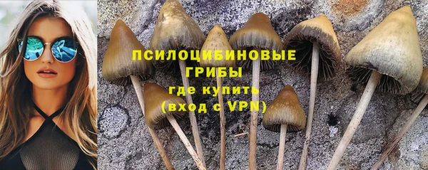 амф Алзамай