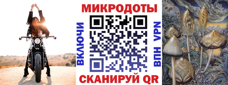 где купить наркоту  Элиста  Псилоцибиновые грибы Psilocybine cubensis 