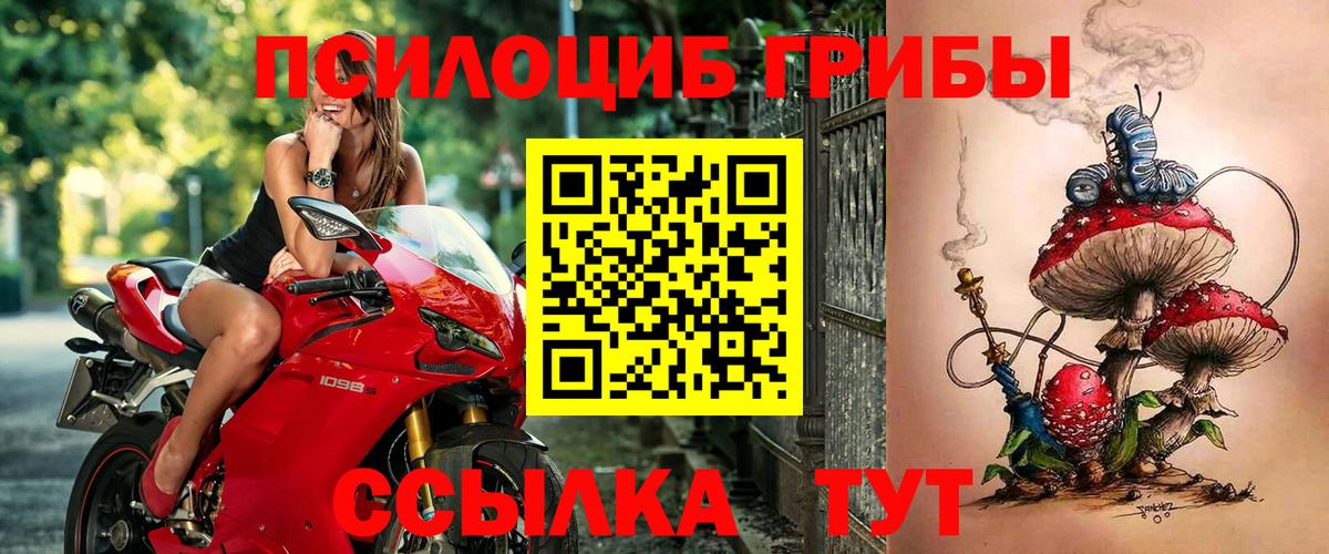 Галлюциногенные грибы MAGIC MUSHROOMS Элиста
