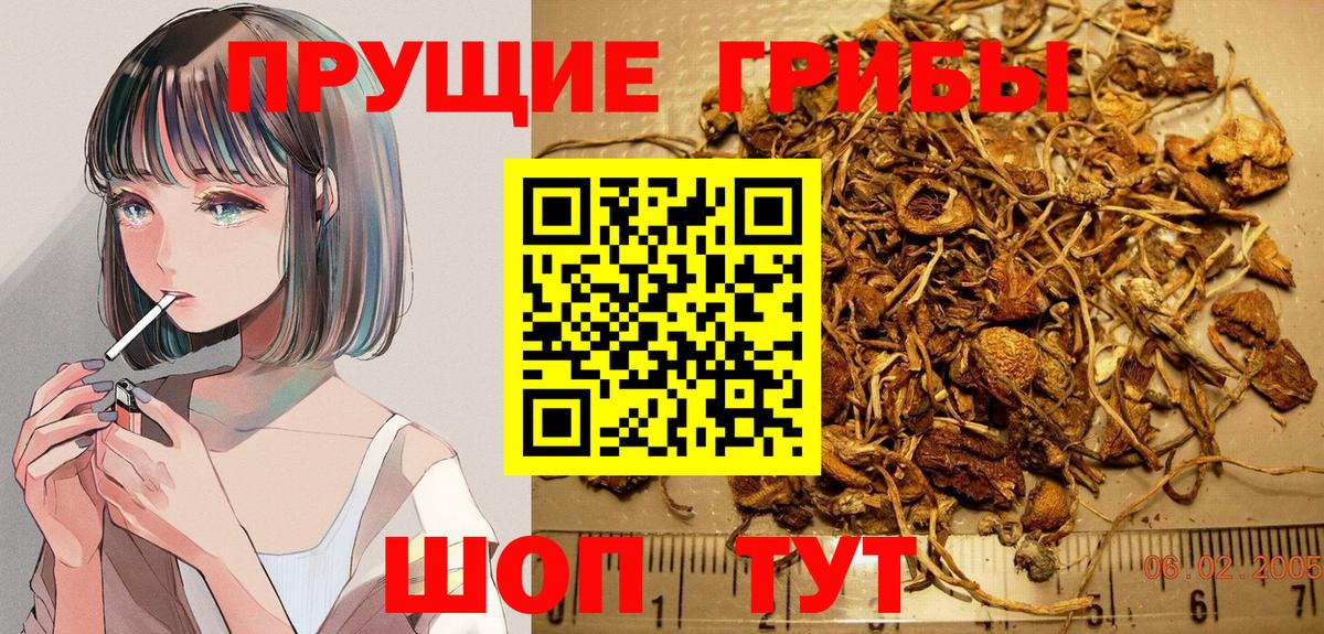 Галлюциногенные грибы Magic Shrooms  Вход с VPN  Элиста 